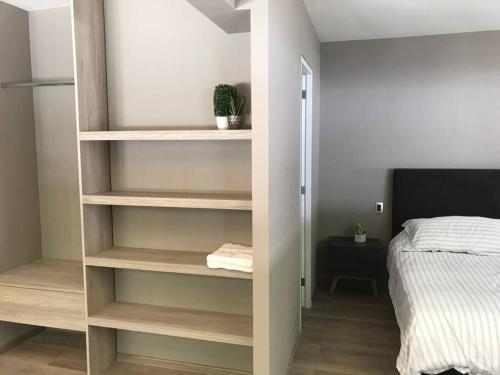 a bedroom with a book shelf next to a bed at Loft Trendy en PB - WTC - Parque Delta - Facturamos in Mexico City