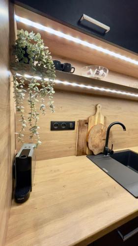 a kitchen counter with a sink and a plant at Horský apartmán Říčky in Wüstenei