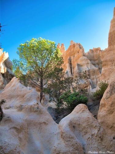 a tree in the middle of a rocky mountain at Torreilles-Casa terracota-plage - visa image- les déferlantes le Barcares - South of France in Torreilles