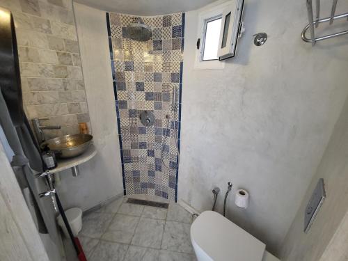 a bathroom with a sink and a toilet and a shower at Loft au village de sidi bou said in Sidi Bou Saïd
