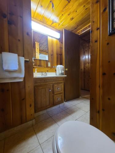 a bathroom with a sink and a mirror and a toilet at Fern River Resort in Felton