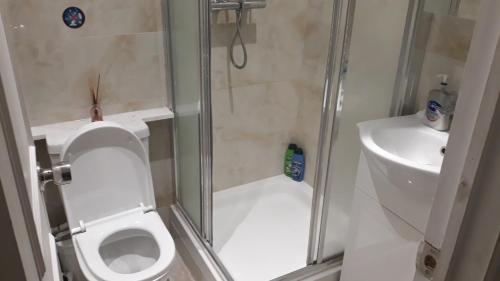 een kleine badkamer met een toilet en een wastafel bij King garden hotel in Londen