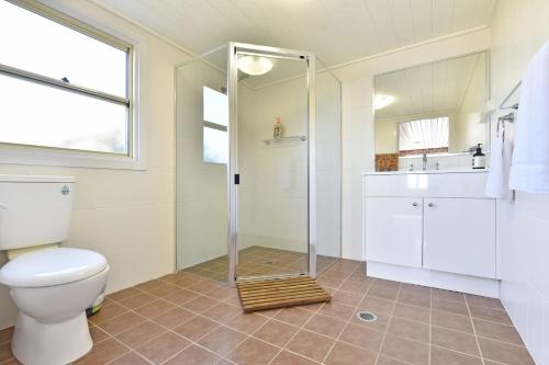 a bathroom with a shower with a toilet and a sink at Noble Willow Studio Lovedale. A Cosy Unique Wine Country Refuge in Lovedale