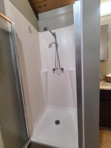 a shower with a shower head in a bathroom at Fern River Resort in Felton