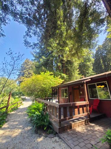 a cabin in the woods with a porch and a patio at Fern River Resort in Felton