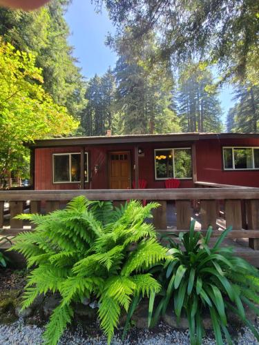 a red tiny house in the middle of a forest at Fern River Resort in Felton