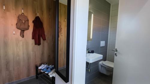 a bathroom with a toilet and a sink and a mirror at Premiumhaus Hygge in Hasselfelde