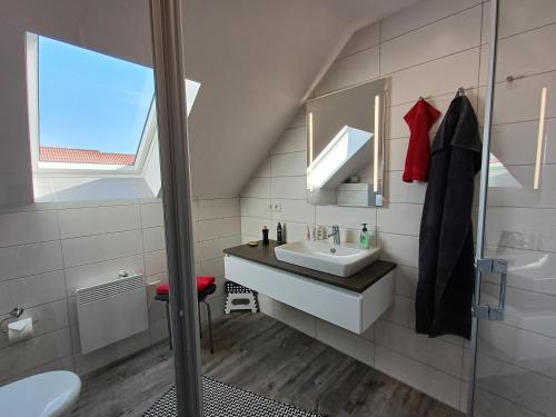 a bathroom with a sink and a toilet and a mirror at Premiumhaus Hygge in Hasselfelde