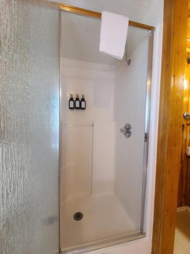 a shower with a glass door in a bathroom at Fern River Resort in Felton