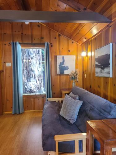 a living room with a couch and a table at Fern River Resort in Felton