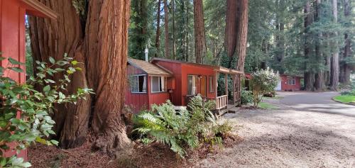 a red cabin in the middle of a red forest at Fern River Resort in Felton