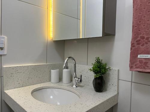 a bathroom counter with a sink with a plant on it at Apartamento dos Sonhos - Studio em Prédio a Beira Mar in Balneário Camboriú