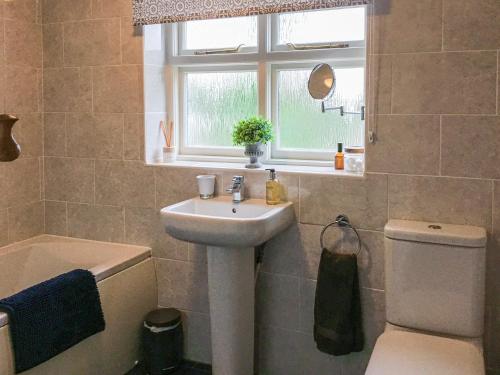 uma casa de banho com um lavatório, um WC e uma janela. em Beck Cottage em Thirsk