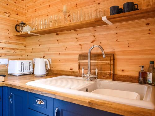 a kitchen with a sink and a wooden wall at Orchard Cabin-rowan - Uk45435 in Isle of Whithorn