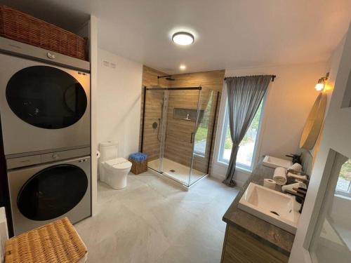 W łazience znajduje się prysznic, toaleta i umywalka. w obiekcie Le Petit Saphir w mieście Rawdon