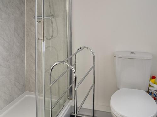 uma casa de banho com um WC e uma cabina de duche ao nível do chão em Whittles Apartment em Hornsea