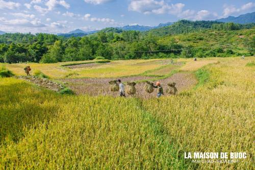 a group of people working in a field at La Maison De Buoc in Mai Chau