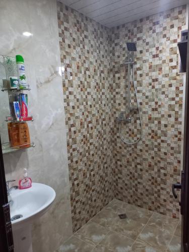 a bathroom with a shower and a sink and a toilet at Частный дом Агарцин in Haghartsin