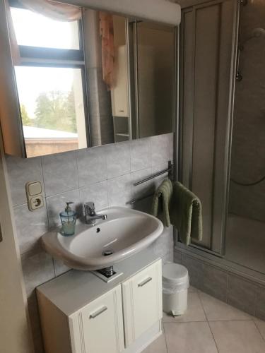 een badkamer met een wastafel en een douche bij Ferienwohnung über Greiz in Greiz
