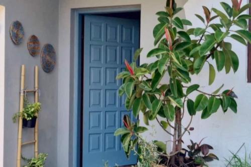 una puerta azul con una planta delante de ella en Ullasa house - Inolvidables vistas panorámicas del mar, en Vilagarcía de Arousa