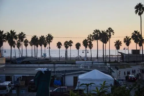 The Redline Venice photo 6