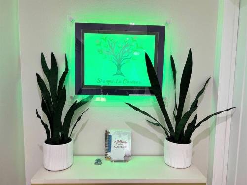 two plants in white pots on a table with a tv at New & Modern with Accessibility-Family Friendly in San Bernardino