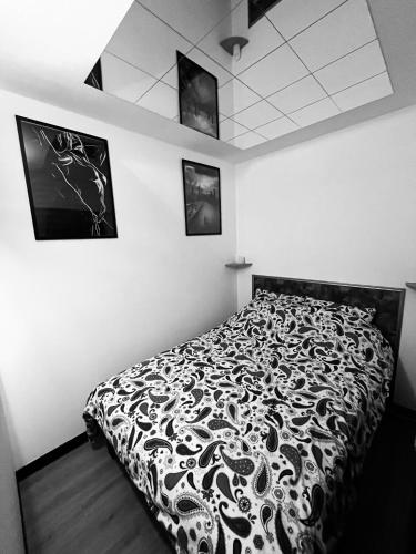 - une chambre avec un lit doté d'un couvre-lit noir et blanc dans l'établissement Love Room 208 Appartement 30m2, à Lambersart