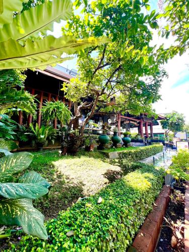 a garden in front of a building with trees and plants at Le Naview @Prasingh in Chiang Mai