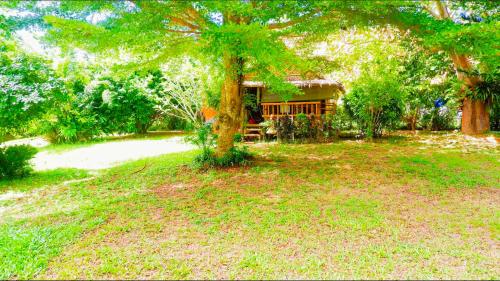 a house with a tree in front of a yard at Kingsacre in Nai Yang Beach