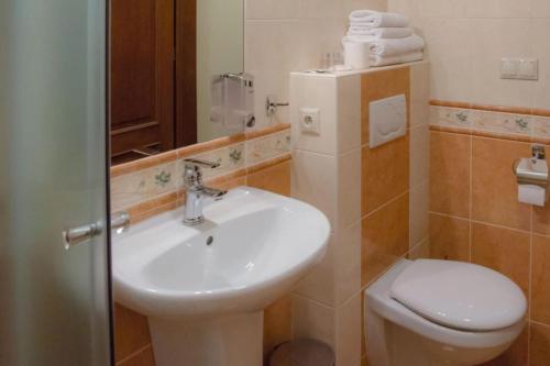 La salle de bains est pourvue d'un lavabo et de toilettes. dans l'établissement JazzPenzion, à Čadca