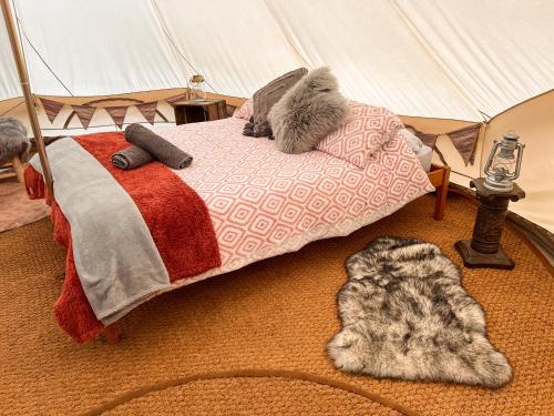 a bed with two cats laying on it in a tent at The Queens Head Glamping in Foulsham