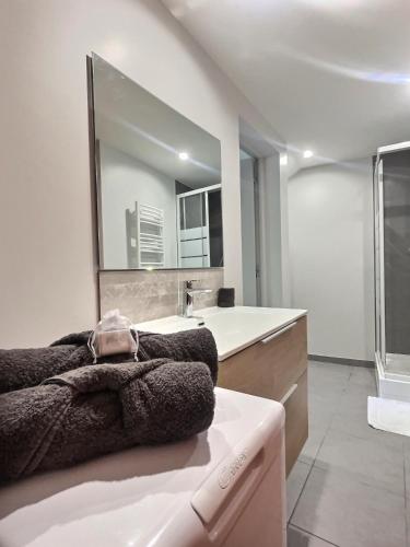 une salle de bain avec un lavabo et un grand miroir dans l'établissement ''Secret garden'' De Miss.K Conciergerie, à Tournus