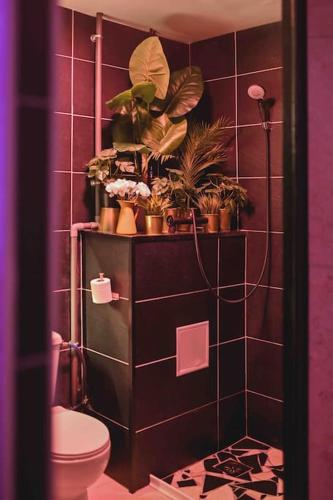 Bany a Le Lux Spa