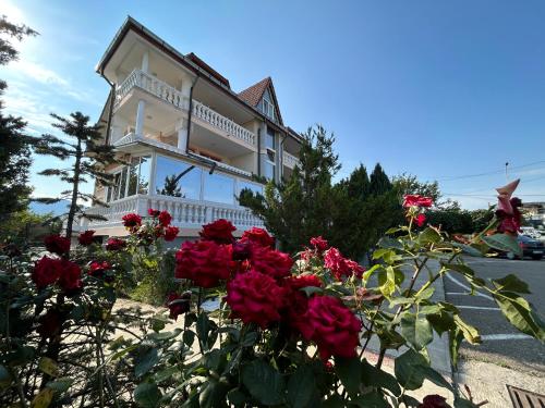 a house with red roses in front of it at Pensiunea Cornelius in Piatra Neamţ