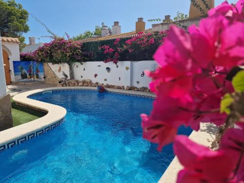 Riumar "Don Quichotte", 100m to beach, Privat-Pool, On-Site-Service, dog beach