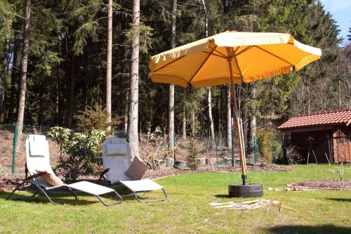 two chairs and an umbrella in the grass at Harzhaus Romantica in Hahnenklee-Bockswiese