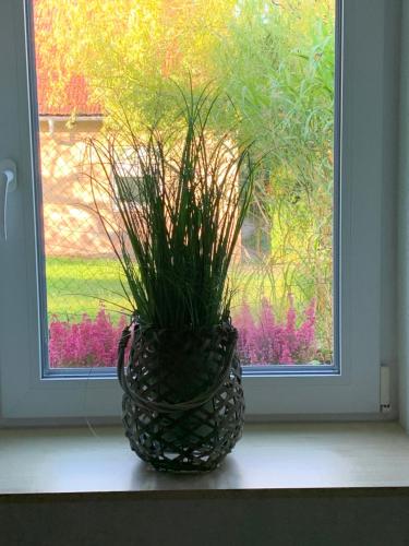 un vase assis sur un rebord de fenêtre avec une plante dans l'établissement Ferienwohnung am Kocher-Jagst Radweg, à Neuenstadt am Kocher