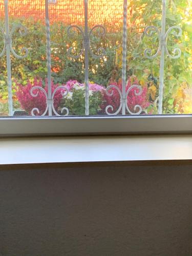a window with a view of a garden of flowers at Ferienwohnung am Kocher-Jagst Radweg in Neuenstadt am Kocher