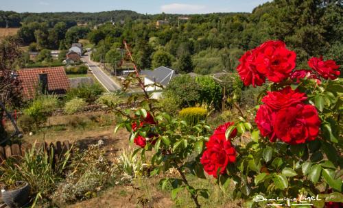 a bush of red flowers with a view of a town at Au balcon de la Gaume in Meix-devant-Virton