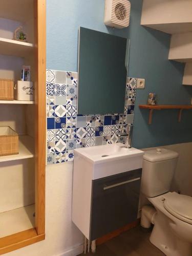 une salle de bain avec un lavabo et des toilettes dans l'établissement Ancienne échoppe à deux pas de la cathédrale, à Saint-Flour