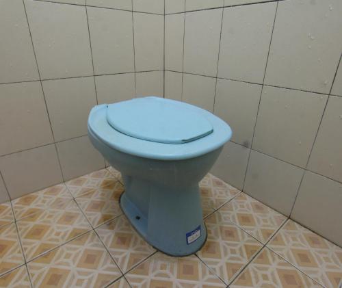 a bathroom with a blue toilet in a room at OYO Life 93155 Wisma Sarah in Tanjung