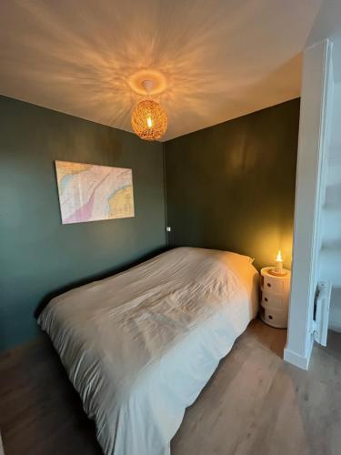 een slaapkamer met een bed en een groene muur bij Appartement comme à la maison refait à neuf in Boulogne-sur-Mer