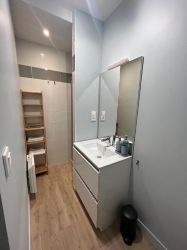 een badkamer met een wastafel en een spiegel bij Appartement comme à la maison refait à neuf in Boulogne-sur-Mer