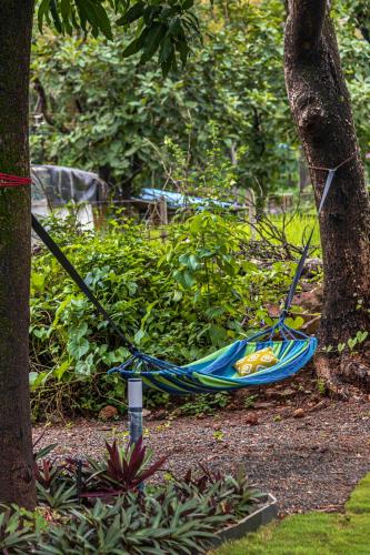 a blue hammock laying on the ground next to a tree at SaffronStays Amavi Beach House in Dapoli
