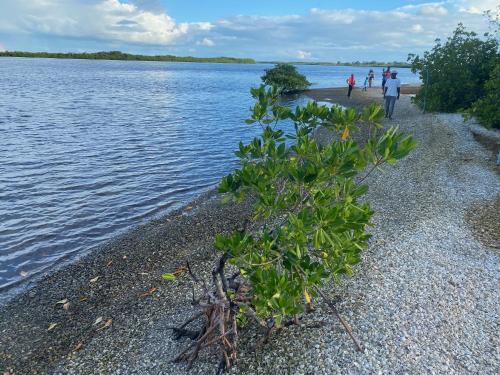 a group of people walking on the shore of a body of water at Toubacouta Lodges in Toubakouta