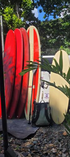 a group of surfboards are lined up in a row at La Vida Hostel in Puerto Princesa City