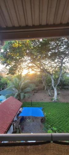 a view from a window of a park with trees at La Vida Hostel in Puerto Princesa City