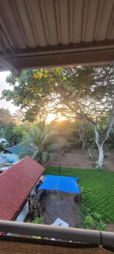 a view from a window of a yard with trees at La Vida Hostel in Puerto Princesa City