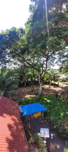 a picnic table in a yard with a tree at La Vida Hostel in Puerto Princesa City
