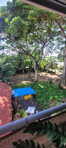 a picnic table with a blue umbrella in a park at La Vida Hostel in Puerto Princesa City